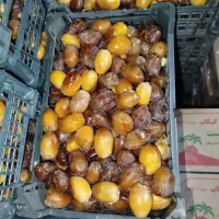 رطب عسلی طلای جنوب و خرما کبکاب مرکز ما هستیم|خوردنی و آشامیدنی|شیراز, قصرالدشت|دیوار