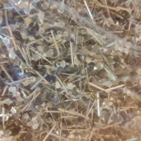 پخش عمده لوازم لوستر