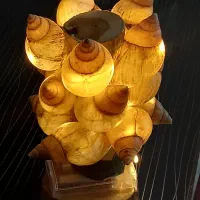 چراغ‌خواب با لاک حلزون