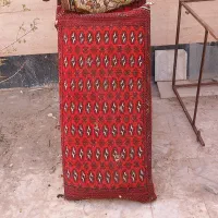 5 عدد پشتی