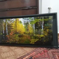 تابلوی طبیعت برقی.