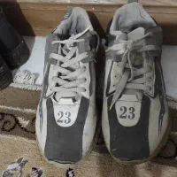 کفش|کیف، کفش، کمربند|گرگان, |دیوار