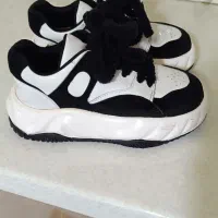 کتانی سایز 40