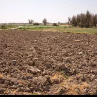 فروش زمین کشاورزی دولت آباد قیصریه