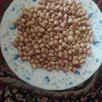 لوبیاچیتی وکشمش|خوردنی و آشامیدنی|صائین قلعه, |دیوار