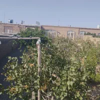 باغ ویلا|فروش خانه و ویلا|تربتحیدریه, پائین ولایت|دیوار