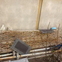 کرکره آهنی سالم   شهرستان سرخس