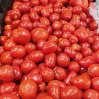 پالت میوه دوربین|فروشگاه و مغازه|کرج, شهرک فهمیده|دیوار