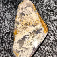 شجر|کلکسیون اشیاء عتیقه|برازجان, |دیوار