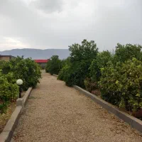 باغچه ۱۳۰۰ متری