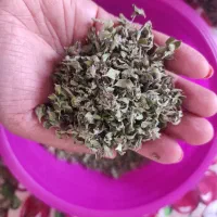 آویشن کوهی  برگ شده تمیز