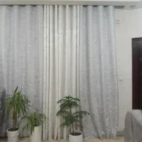 پرده نو (شاین) و گل و گلدان - قیمت زیر بازار