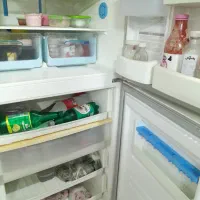 یخچال فریزرسینجر دودرب|یخچال و فریزر|نیشابور, فضل|دیوار