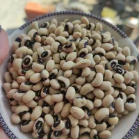 لوبیا سفید ابگوشتی و لوبیا چشم بلبلی