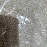 برنج عنبر بو خوزستان