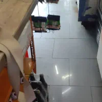 فروش کلیه لوازم مغازه سوپر مارکت|فروشگاه و مغازه|لاهیجان, آهندان|دیوار