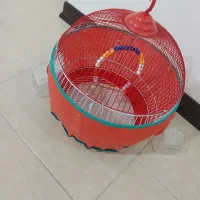 قفس پرنده (خارجی)