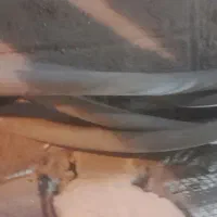 شلنگ ابیاری|خدمات باغبانی و درختکاری|نسیم‌شهر, |دیوار