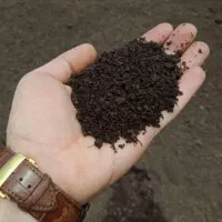 خدمات باغبانی باغچه کاری تعویضی خاک باغچه کاشت|خدمات باغبانی و درختکاری|تهران, هروی|دیوار