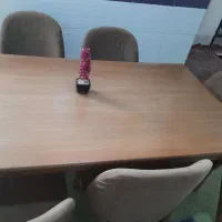 میز ۶نفره چوب راش روسی درحدنو