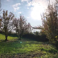 زمین بافت مسکونی با چشم انداز فوق العاده|فروش زمین و ملک کلنگی|گلوگاه, |دیوار