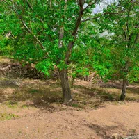 ۲۳۸متر باغچه خسروان جنب آیینه ورزان|فروش زمین و ملک کلنگی|دماوند, دماوند|دیوار