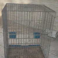 فروش قفس مخصوص مرغ مینا