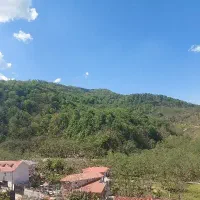 اجاره ویلا جنگلی بالارود سیاهکل دربست