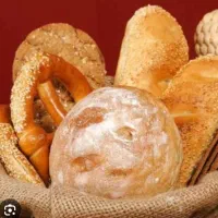 به نیرو کار شاگرد در نان فانتزی نیازمندیم