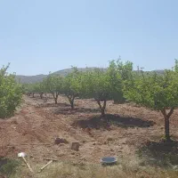 باغشهر ۱۰۰۰ متری آبپرده