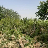 ویلاباغ درباغستان قدس فروش باغچه ۳۷۰متر|فروش زمین و ملک کلنگی|قدس, شهرک صنعتی زاگرس|دیوار