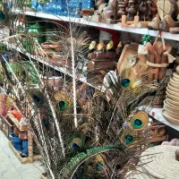 پرطاووس طبیعی|صنایع دستی و سایر لوازم تزئینی|رشت, هلال احمر|دیوار