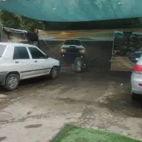 نیروی کار در کارواش