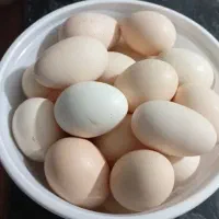 تخم مرغ محلی