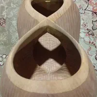 کاسه تار حرفه ای 20 ساله