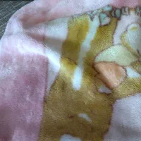 چند تکه لوازم نوزادی تا یکسال|اسباب و اثاث بچه|سبزوار, امیر کبیر|دیوار