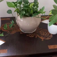 میز عسلی بزرگ ۴ تا کوچک|مبلمان خانگی و میز عسلی|لنگرود, |دیوار