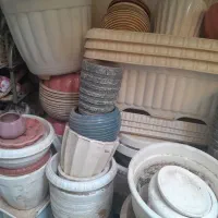 گلدان|گل و گیاه طبیعی|قم, آزادگان|دیوار