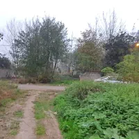 فروش زمین ۲۸۰ متری مسکونی سند تک برگ لاهیجان