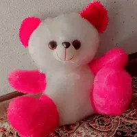 گارد و عروسک