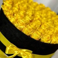 هدیه|گل مصنوعی|سقز, |دیوار