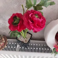 ۵گل ودسته گل مصنوعی خارجی زیبا وشیک|گل مصنوعی|صحنه, |دیوار