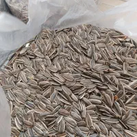 تخم آفتابگردان s400|خوردنی و آشامیدنی|شاهینشهر, گزبرخوار|دیوار