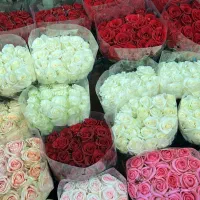 استخدام گل آرا