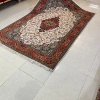 تکشش متری جهاد بافت گوشتدار سالم