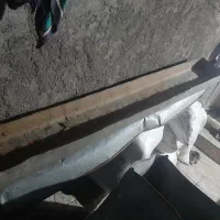 آب خور حیوانات