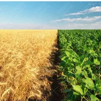 اجاره زمین کشاورزی