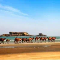 گشت جزیره با ماشین پارس|تور و چارتر|درگهان, |دیوار