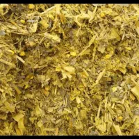 ذرت علوفه ای ۵۰۰تن