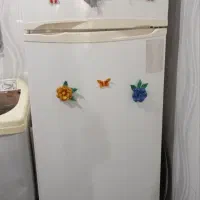 یخچال یک قلو|یخچال و فریزر|تربت‌حیدریه, ده پائین|دیوار